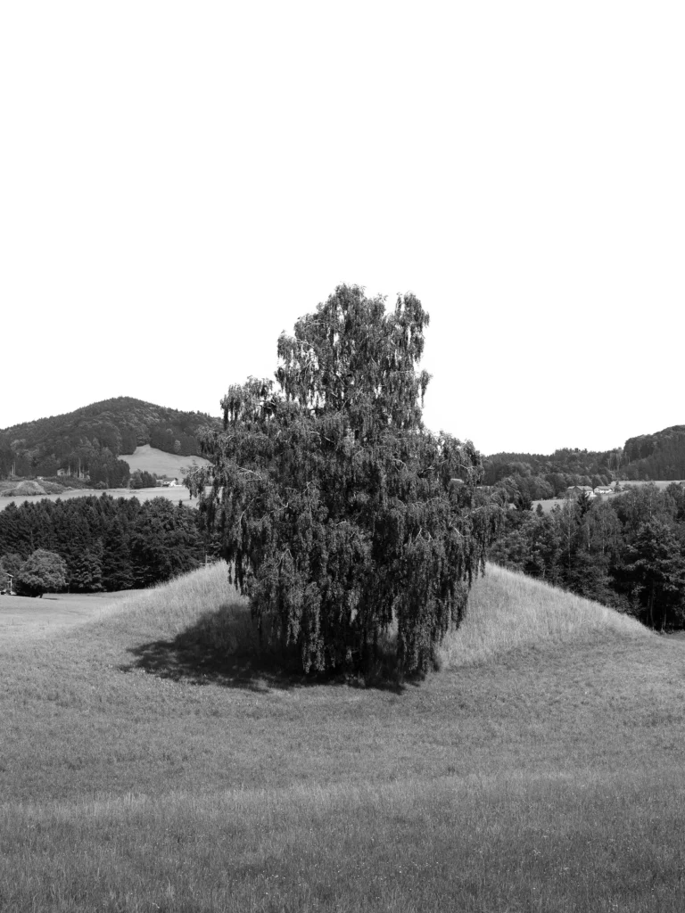 Dirk Obracay ©2026: Vier zeitgenössische Fotografien aus Oberhofen