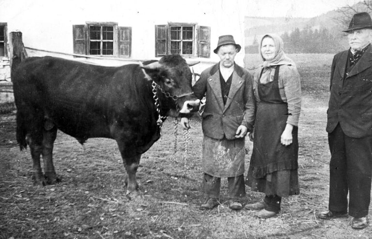 Kaiser0832.jpg