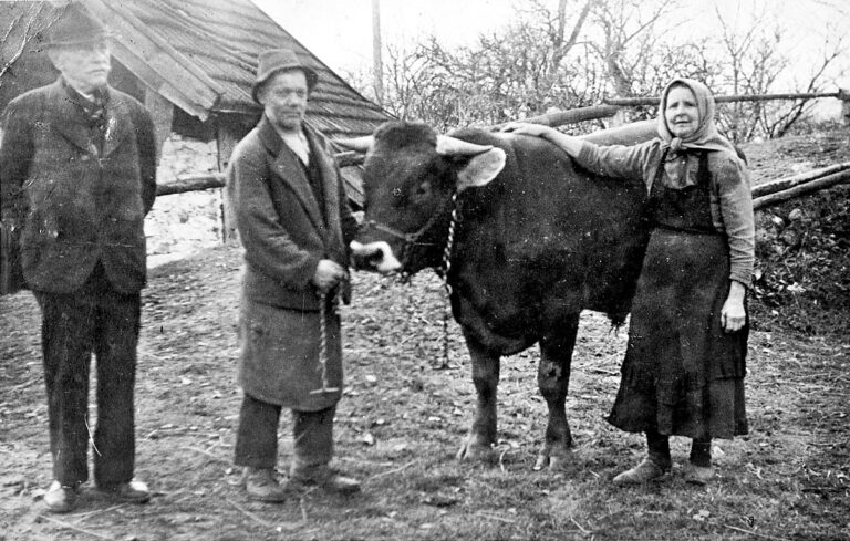 Kaiserc0842.jpg